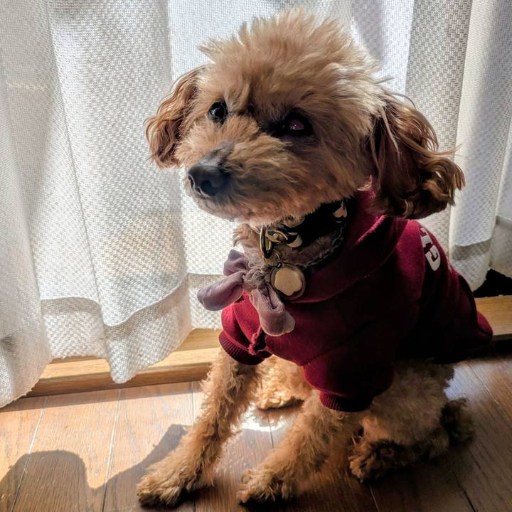 Bc8738d9 4e81 4913 98ce 61bb5bb2eede 1771647515455