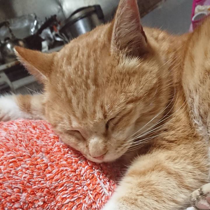 Bc87433d be8e 42e5 a70d dfe34a109ce5 1582277178706