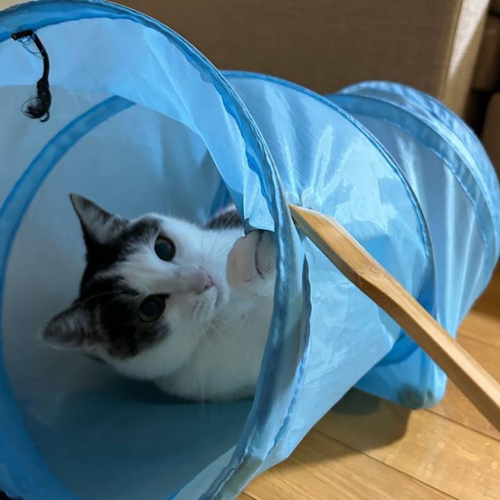 Bc876d12 eb47 4361 bf5c e1f142cf2e1e 1718281606134