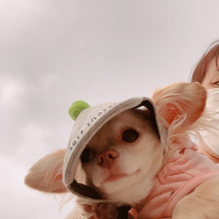 Bc87aaaf 6edc 4393 bd1c 43489a93defe 1623747517287