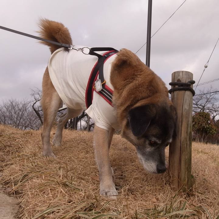 Bc87ea7f 9153 4a4f 8642 c9100661fec5 1596710823622