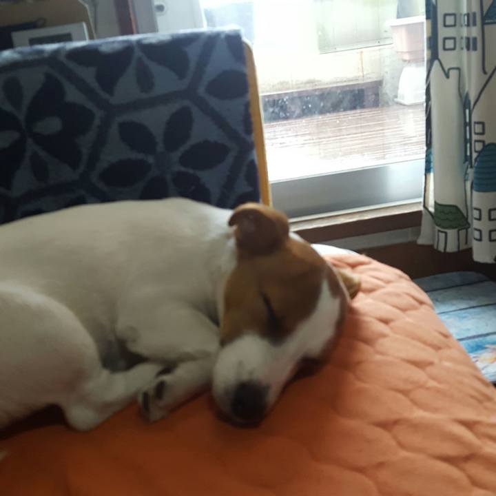 Bc881d97 cc8c 4803 a3b3 9e20d125ccbe 1554682742098