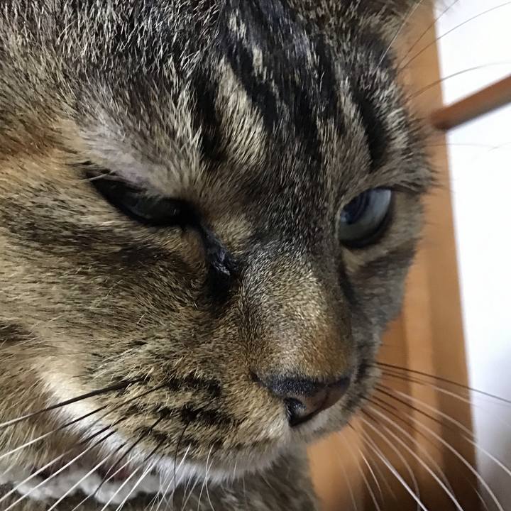 Bc885b0a c020 46b3 82a9 3530c4307911 1734781566471