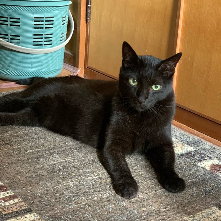 Bc888e6c 0e83 4738 abe2 04b43f79df13 1595379882160