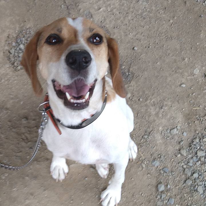 Bc88d9ed b5a5 4f5d 99b7 4cc11ef8541d 1627720310485