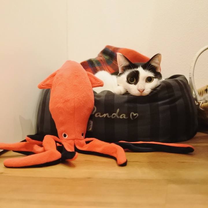 Bc88dfbc d796 4741 8747 5aeb865356c9 1538300472102