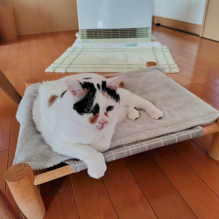 Bc8914de 45d2 4dc5 ac07 12f23fe7ed21 1730932262265