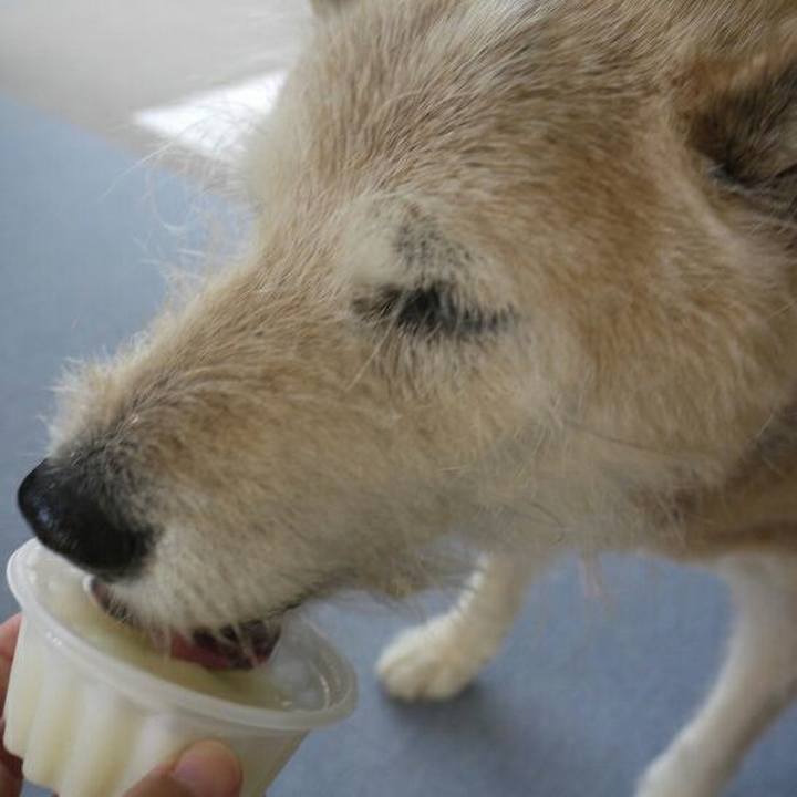 Bc891db4 2677 41a8 a88d 89abab80c2c8 1564549194807