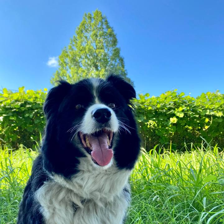 Bc8938fb 3371 49f0 b0d4 dd6c7e8d1a66 1626219312449