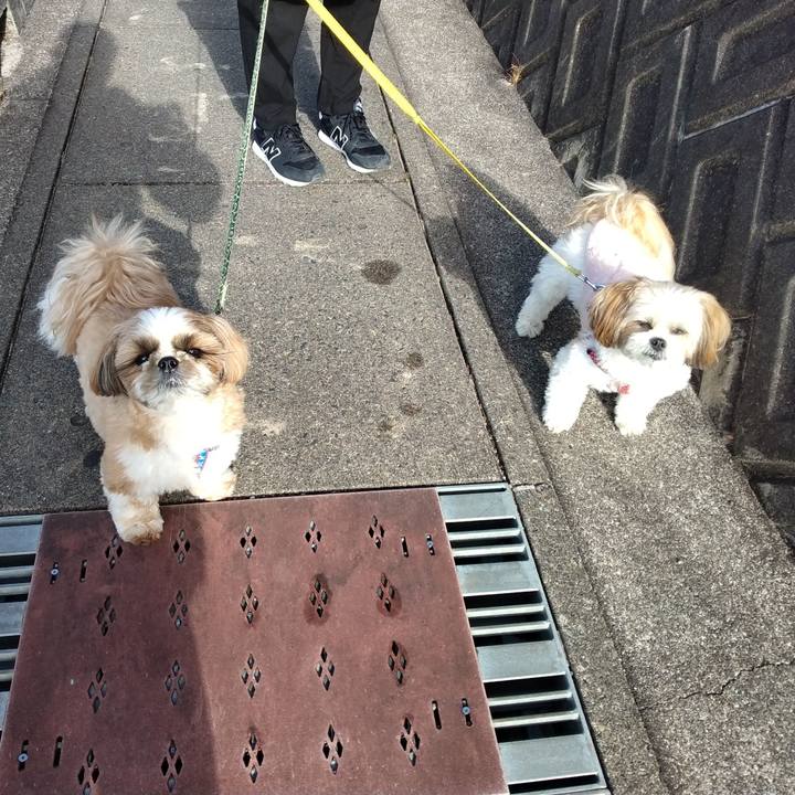 Bc895608 1c10 4b6b 8be6 ddc98c7e2046 1703651166079