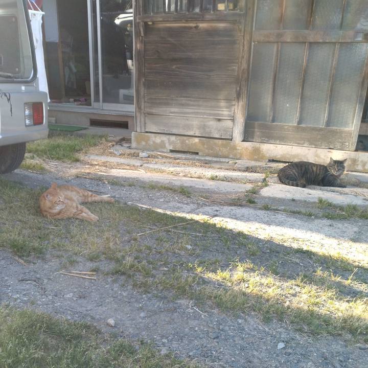 Bc895827 346c 4118 a688 9f4103833c30 1716025588300