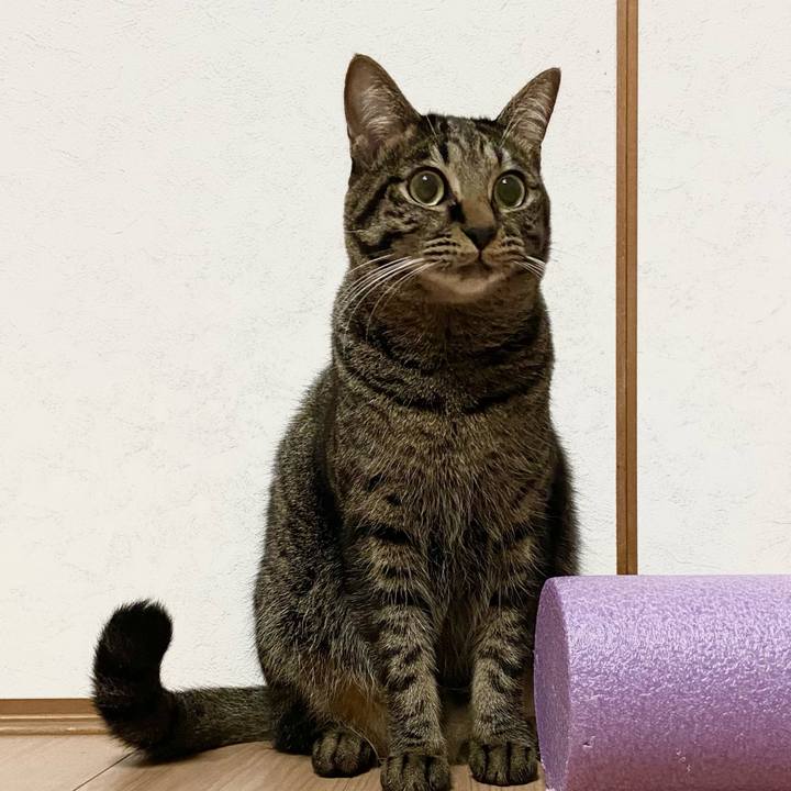 Bc895f6f a3a8 4844 b6d0 e04860d1511a 1640950166110