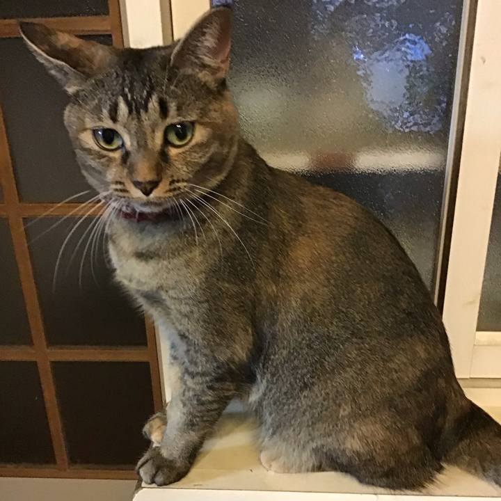 Bc896c5c 74f0 49bf a116 7b41d61749ca 1630664295457