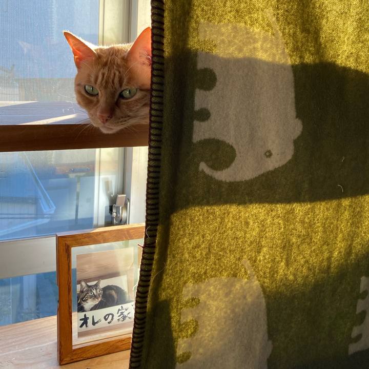 Bc898602 9446 4d7c a863 71088d31b8b2 1637971480481