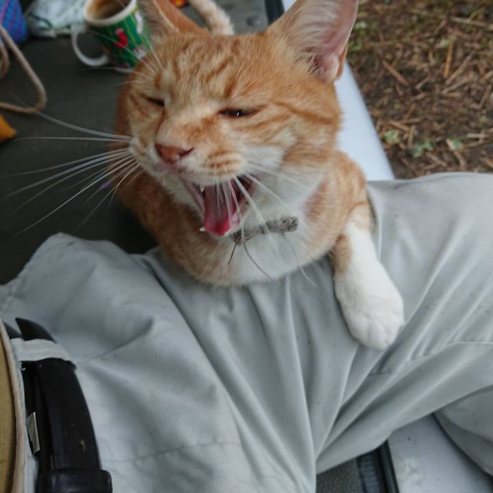 Bc89898d a47b 4c68 aca9 60b5fa207505 1595577458560