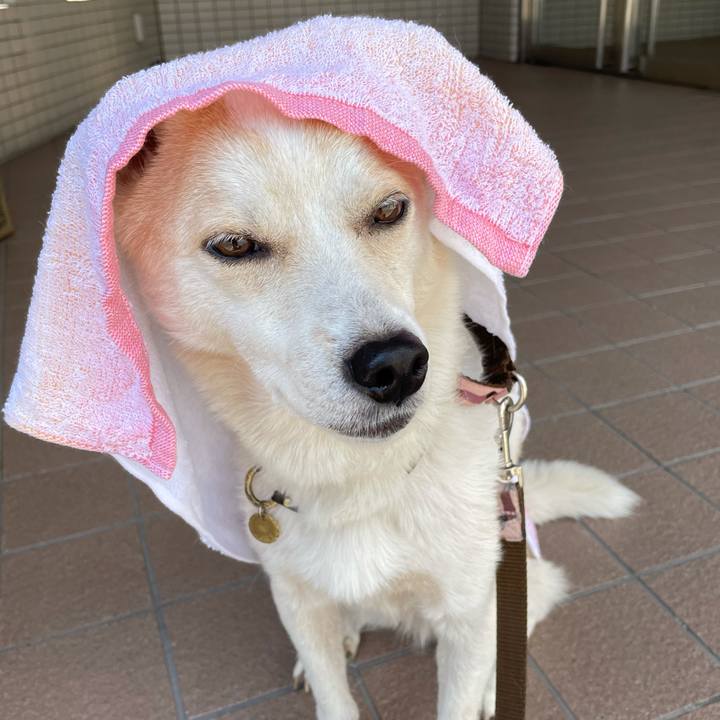 Bc89974a ce9e 48d5 8b9e 9910cfd4b5a4 1627348567822