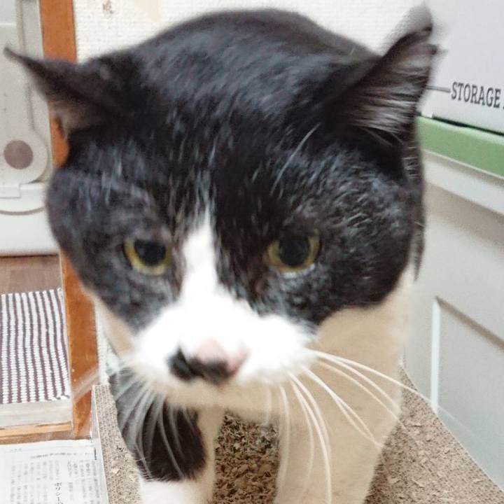 Bc89b91e f7b0 4818 aeea a13b2593226f 1676168722240