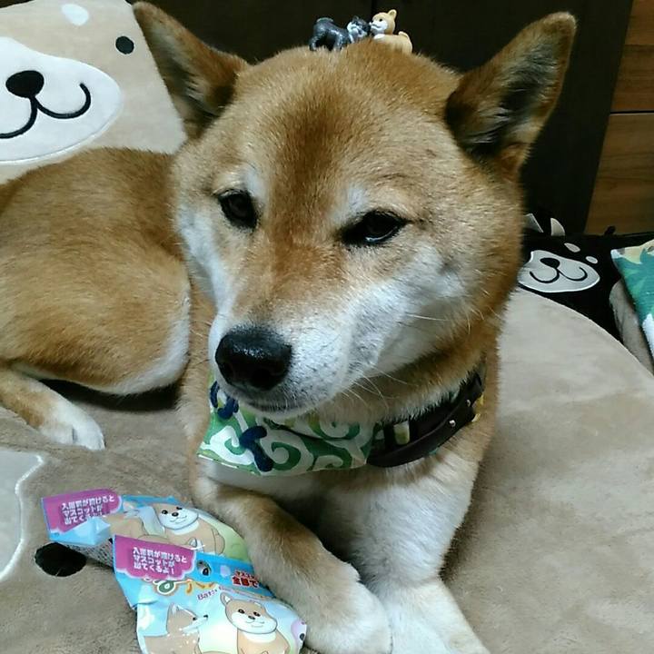 Bc89cad4 04ab 4d23 b173 b202a88b1870 1560696737190