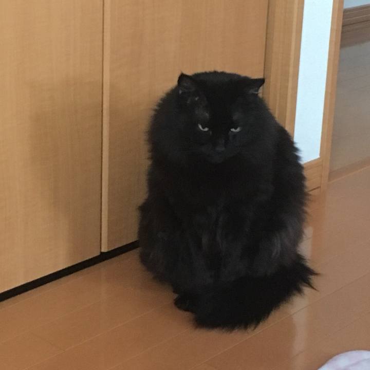 Bc89e2d6 4bf4 4dce 8d72 3cabdbc72580 1552956686324