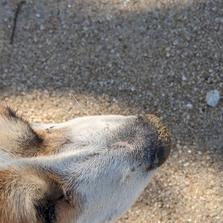 Bc89eb78 4804 4df2 8efe e3ff0d5c7ecb 1710127500193