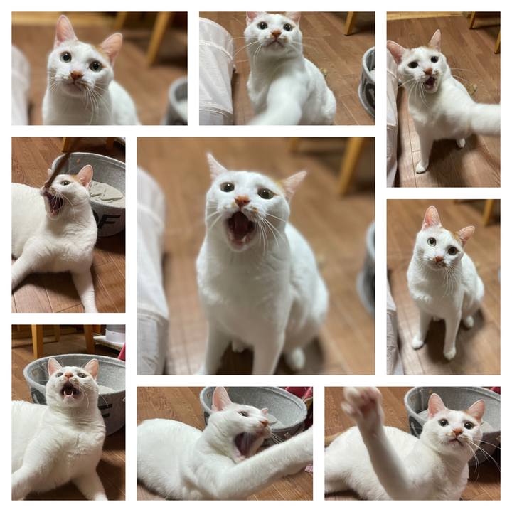 Bc8a24b6 facf 4f43 97ec dd4d1858db51 1646213413055