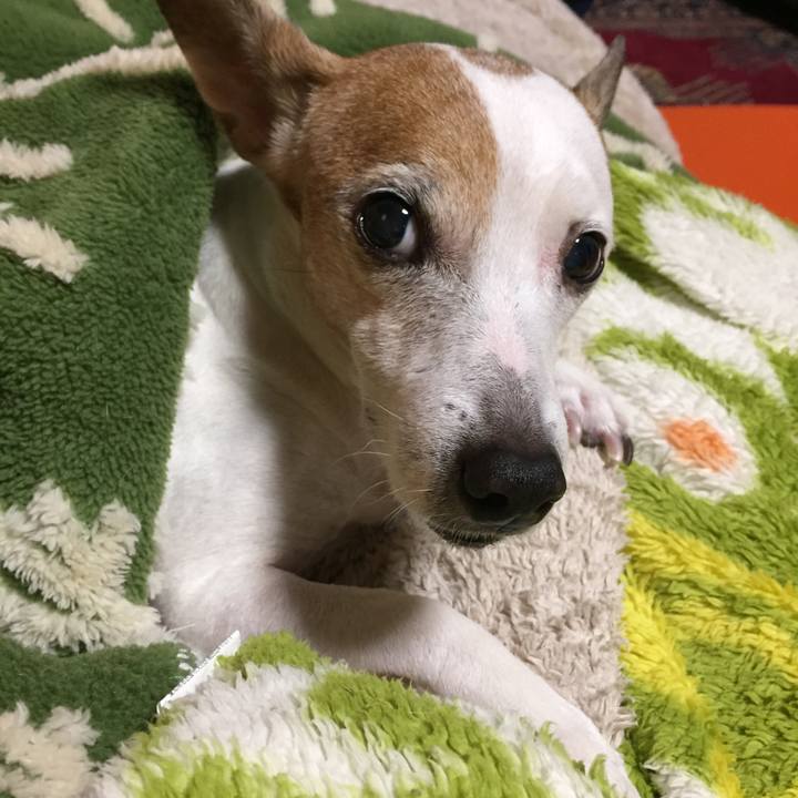 Bc8a8bcb 3584 4808 a634 0e03cb139fa4 1515824124630