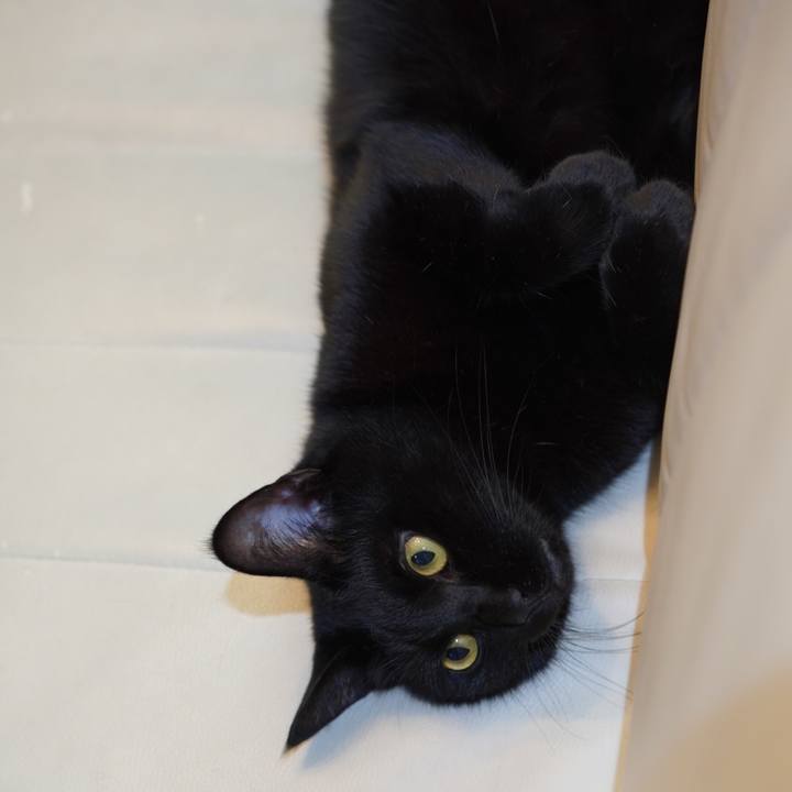 Bc8aa87a 8067 41ea 92d9 8c65e30d48e1 1627913743065