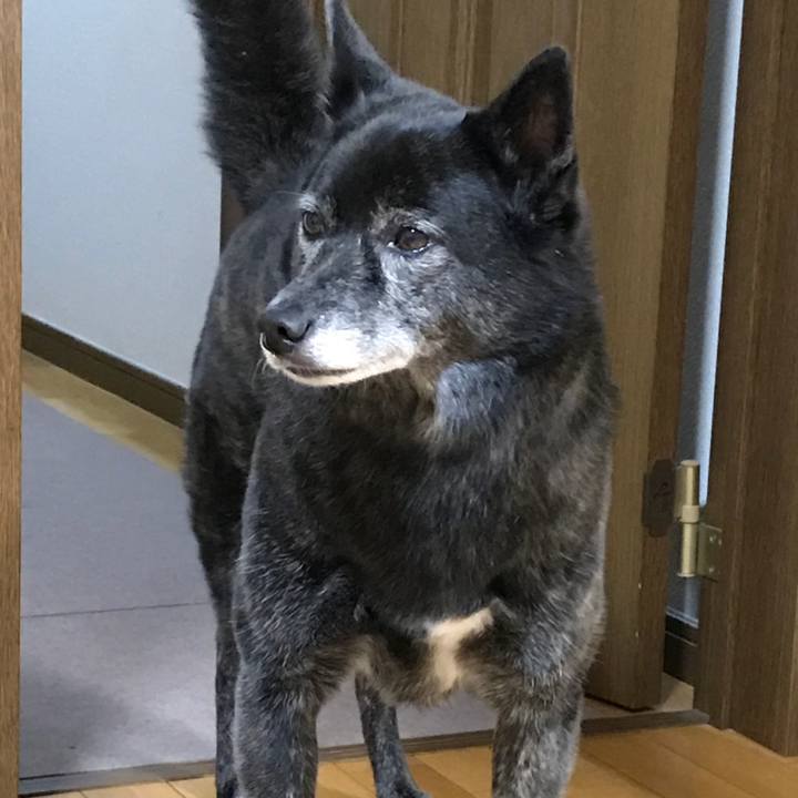 Bc8adbd5 e56b 4fd7 ab98 487c88666372 1510667841502