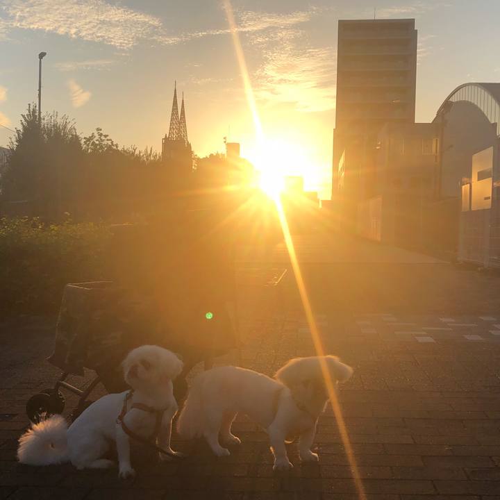 Bc8af391 def6 4ea8 83b3 894d547d0b97 1537308642128