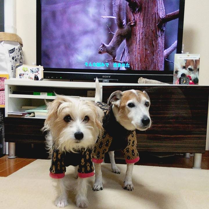 Bc8b1867 2d4a 4f2e ba3a 7ae90fbbaffa 1576016151197