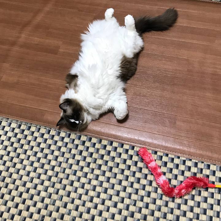 Bc8b9f2d e41c 4ab7 ba2d 7bfed0131921 1511739761876