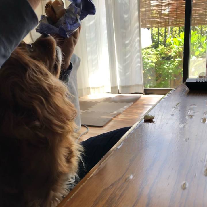 Bc8babed a391 446c 8235 e296d4051bfc 1650090609503