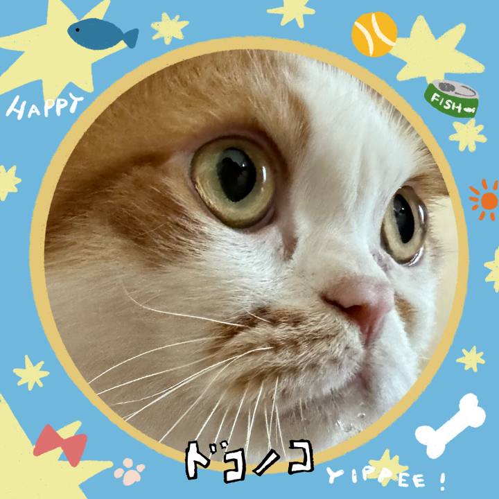Bc8be6f7 87f9 425d b676 38fa2f9dcd0d 1720833452798