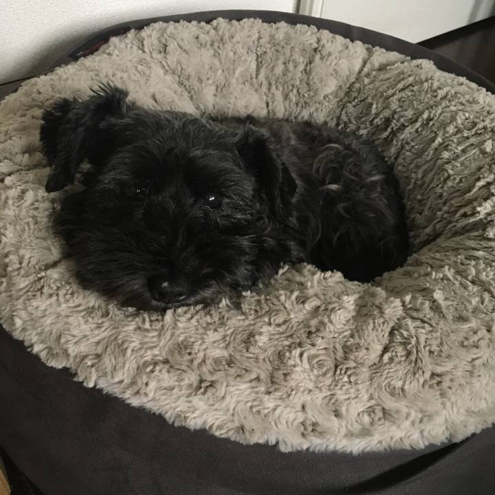 Bc8bf56f 217a 467a 9cda 1f110ed315a9 1601678393797