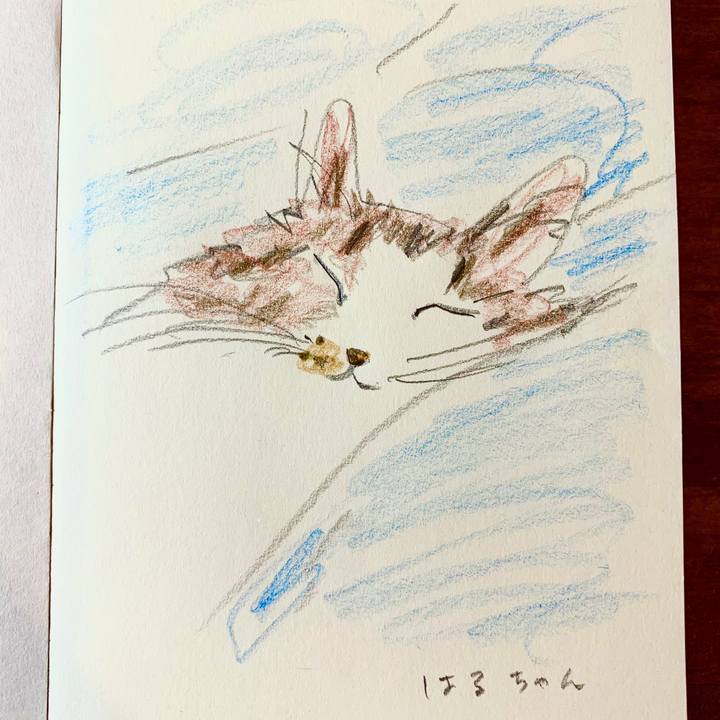 Bc8c1df7 27ac 4eae 88d5 194596841bd5 1592565823067