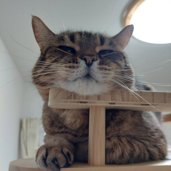 Bc8c2bdf a6cb 479a a937 3b49fb24fbe2 1714000691744