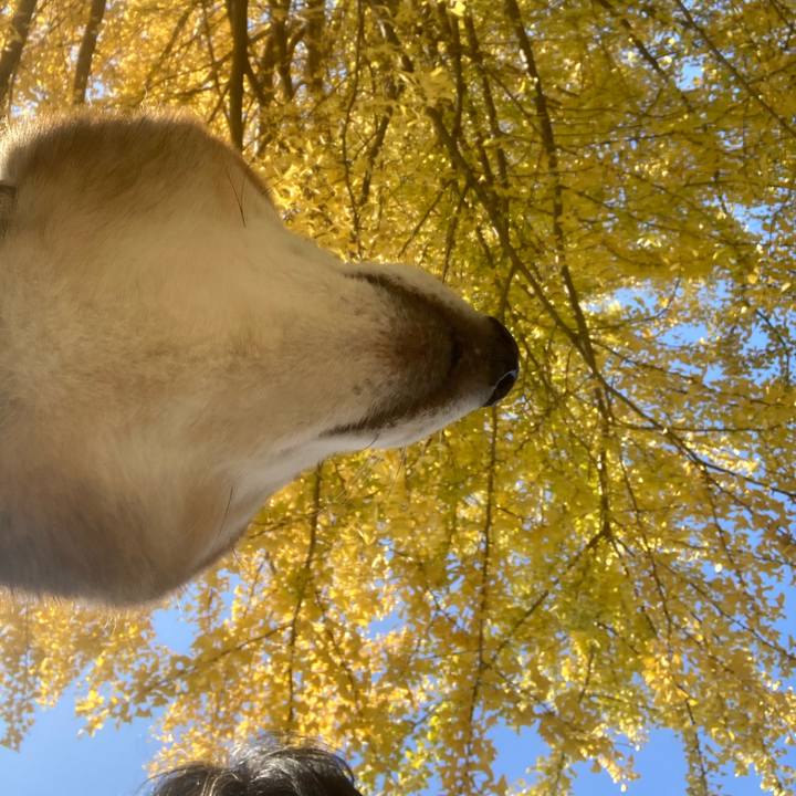 Bc8c40e3 65f6 45d7 9b7f 5f8a93275e32 1668222347958