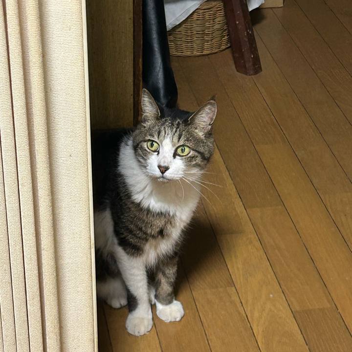 Bc8c5318 060a 4977 953c db5e86fbadea 1719923480903