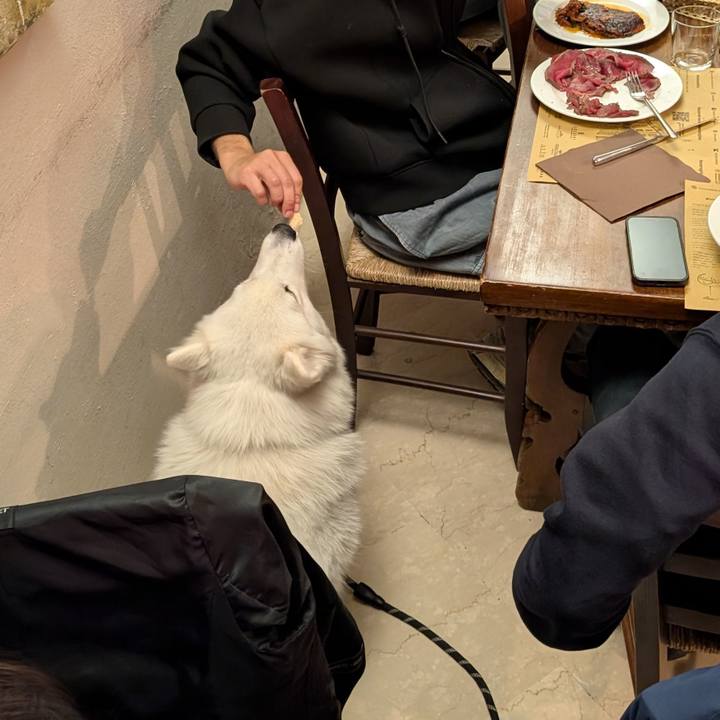 Bc8c919e ab09 4f7e b60e 7982faf716f7 1767541929170