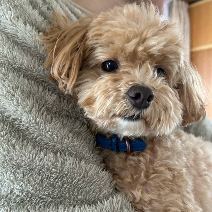 Bc8cf2f8 d0b6 4d08 8845 3d21141d9ca5 1741499816508