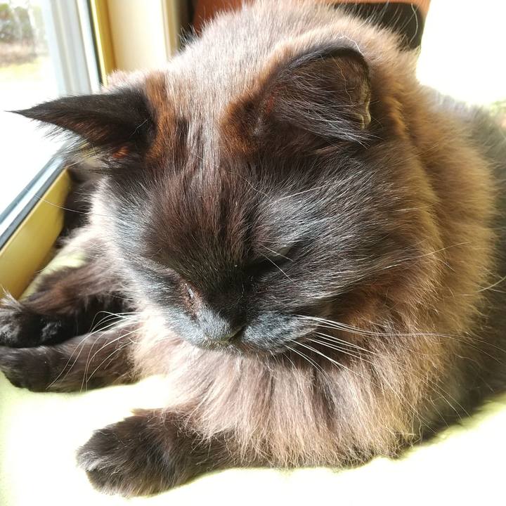 Bc8d04ca 7105 4e29 bad4 cb9840cb9f77 1674266340926