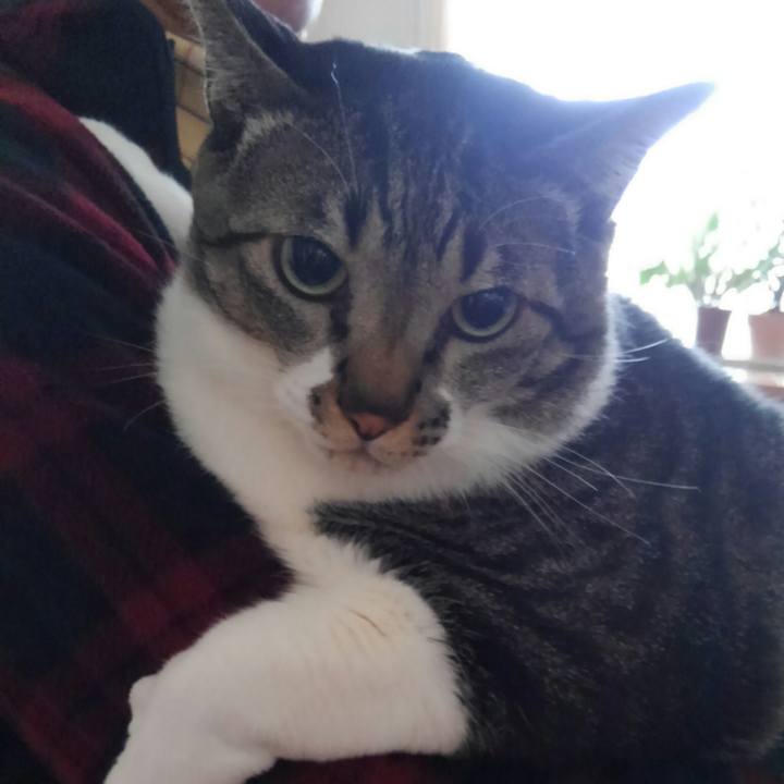 Bc8d24b0 30c6 49d3 b3d9 153d5574b8a6 1514766317058