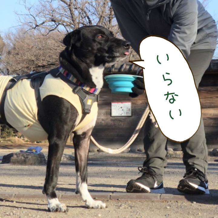 Bc8dca61 c1da 453e b7c9 2d1d8f44ece2 1643678023412