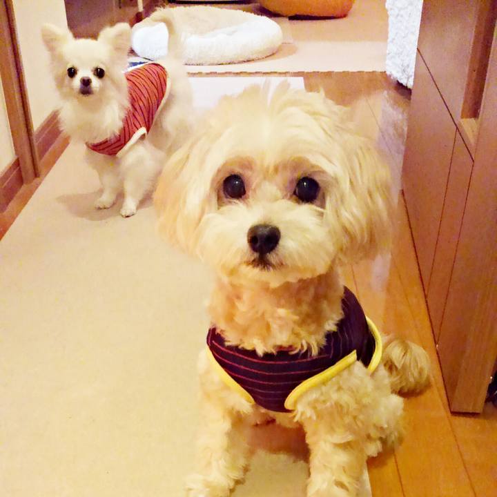 Bc8df38f 9434 4e74 86ab 052ee1e8223e 1508071400159