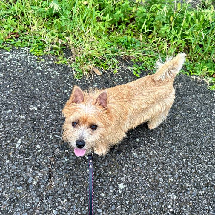 Bc8e05b4 d1ca 41f5 a230 b32fb19d21bb 1727417758318