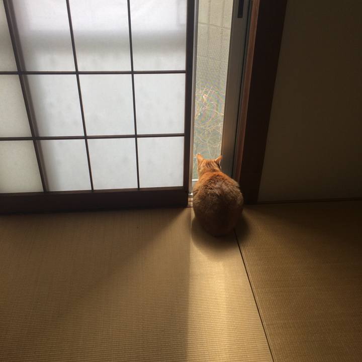 Bc8e0eff 2ee8 4acf 859c 656d25109a9a 1518912851014