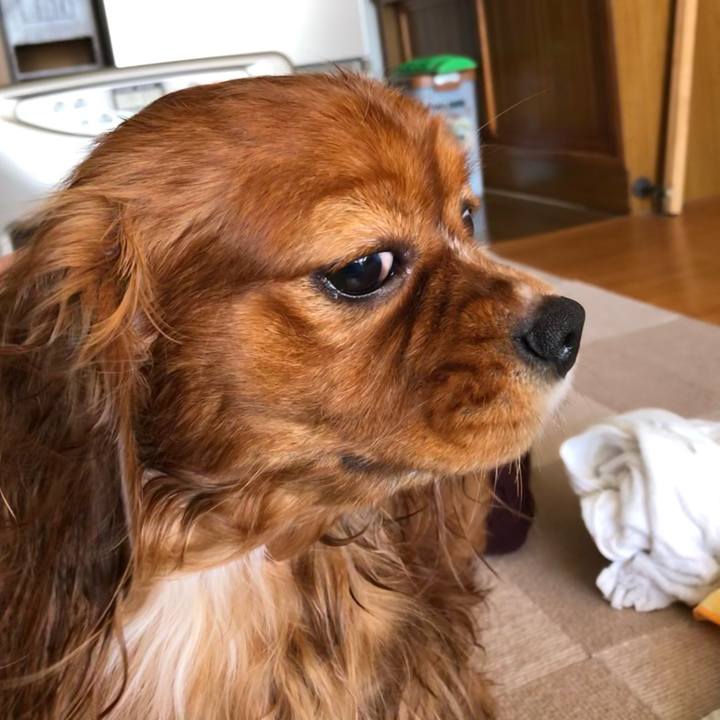 Bc8e5514 2463 44e8 98ca 4fc9afc84f28 1609586850567