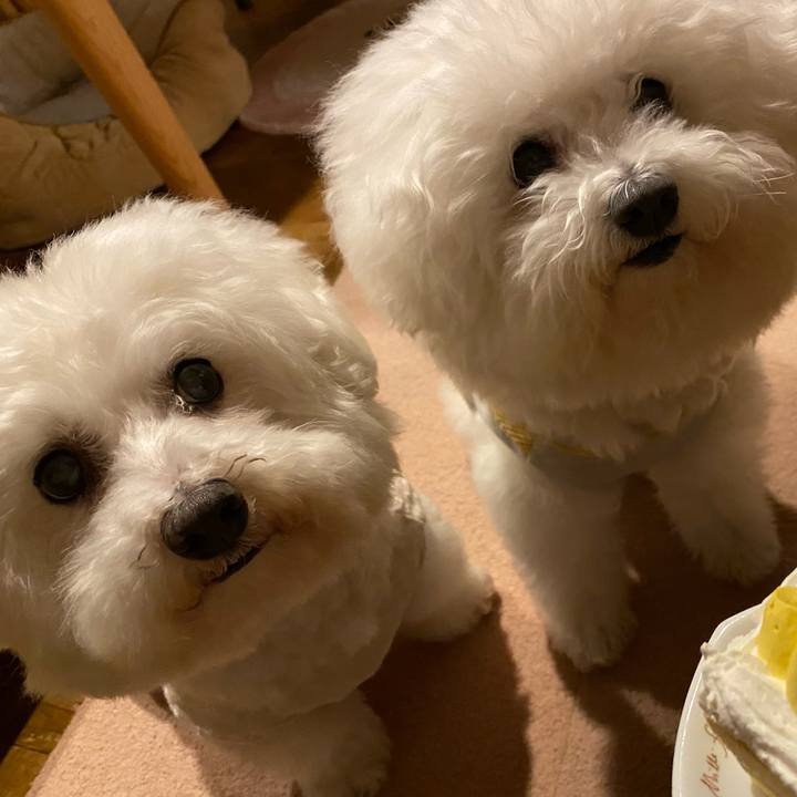 Bc8e5a64 e872 42af 95ac cc9239ec8fb0 1668943375552