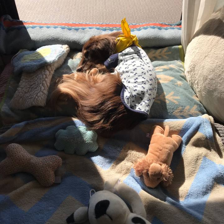 Bc8e7978 1d31 4168 bbfc 3333f549babe 1581298209687