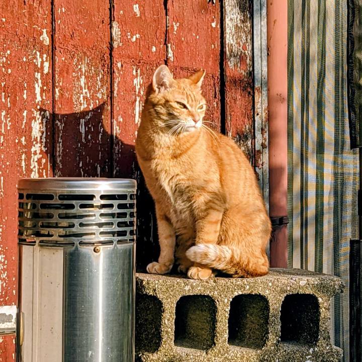 Bc8e7c1d 5ab0 4df2 a917 871fcfef7c7c 1772363521133